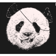 Avatar de M-Jorge