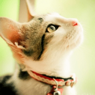 Avatar de loryfunson