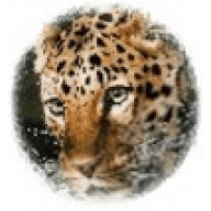 Avatar of Port-Royal
