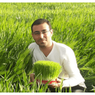 Avatar von MojtabaFaal
