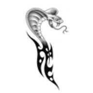 Avatar von Snake-One