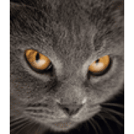 Avatar de Ssantagada