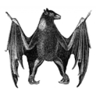 Avatar de Qraig