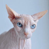 Avatar of Quiiick