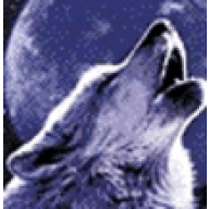Avatar von Scubadoc