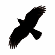 Avatar de The-Crow