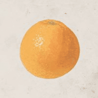 Avatar von raddiey2815