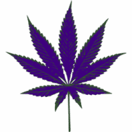 Avatar von Purps