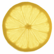 Avatar von Elegraphy