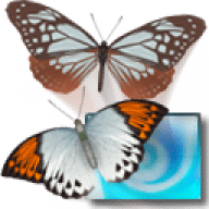 3D Desktop Butterfly Screen Saver for Mac
