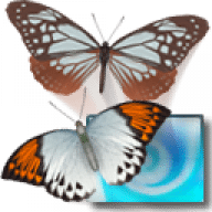 3D Desktop Butterfly Screen Saver free download for Mac