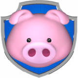 SpacePig
