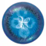 World Of Goo Mac Free Download World Of Goo Mac Free Download