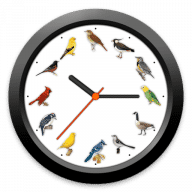 BirdClock for Mac