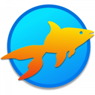 Professionalism Professionalism