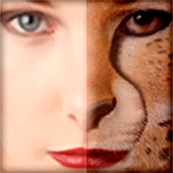 FantaMorph Deluxe for Mac