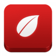 Leaf for Google Reader for Mac