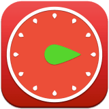 Pro Timer