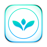 VectorView