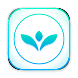 VectorView
