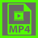MP4 MP4