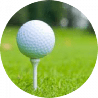 Golf League Organizer Golf League Organizer