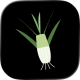 Leeks