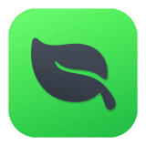 Mint by DZG