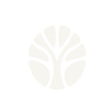 Alder