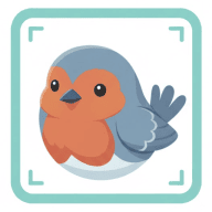 BirdFrame for Mac