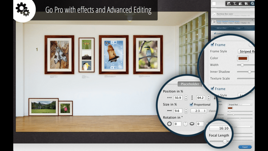 Coriander collage for mac 10 Coriander collage for mac 10