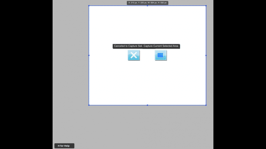 Generation Generation