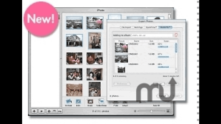 Shutterfly Export Assistant for iPhoto for Mac - review, screenshots