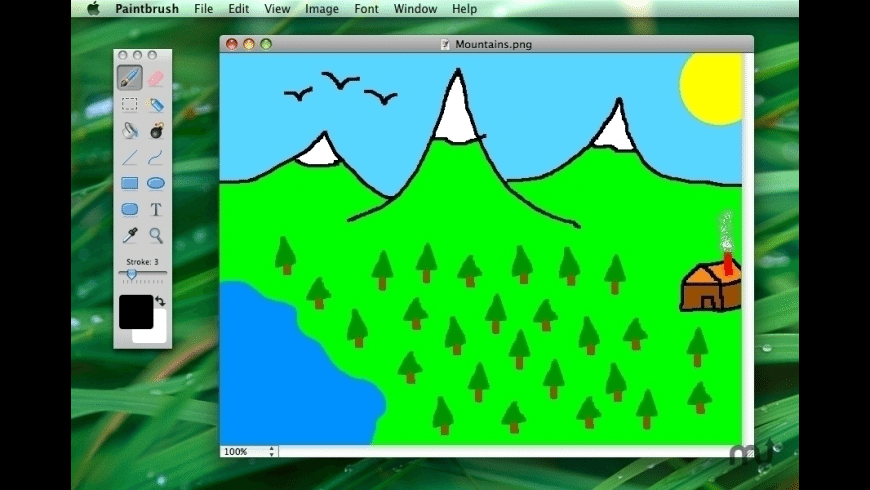 simple program like old paint for mac