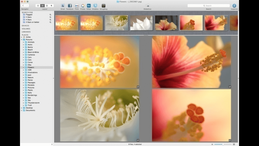 picasa for mac catalina picasa for mac catalina