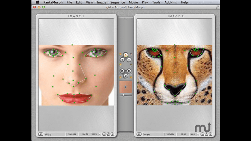 Fantamorph Fantamorph