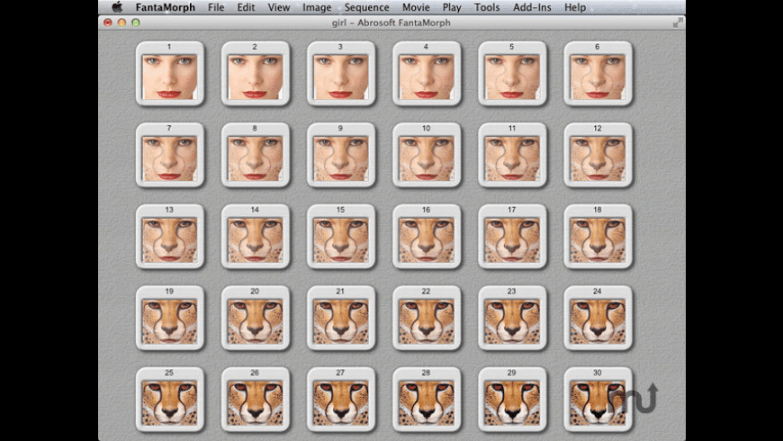 Fantamorph download Fantamorph download