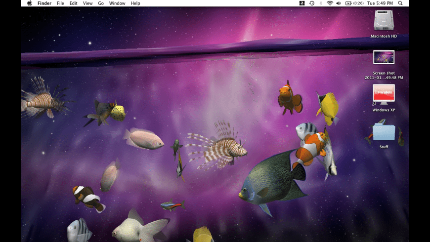 Desktop Aquarium 3d For Mac Free Download Review Latest Version