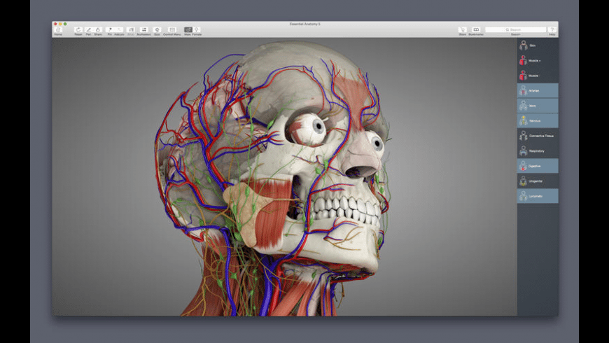 Essential Anatomy For Mac Free Download Review Latest Version