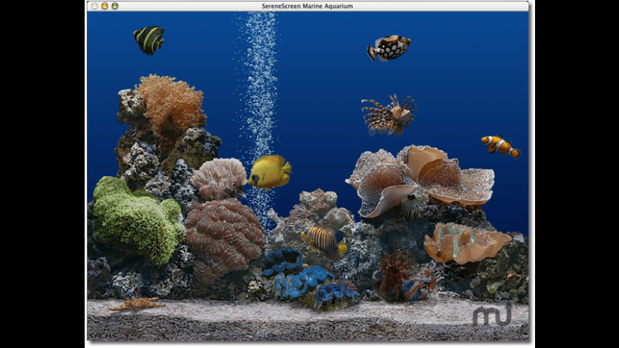 Fish screensaver deals