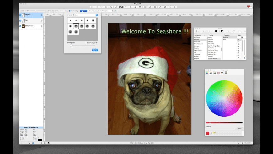 Seashore - app like Paint