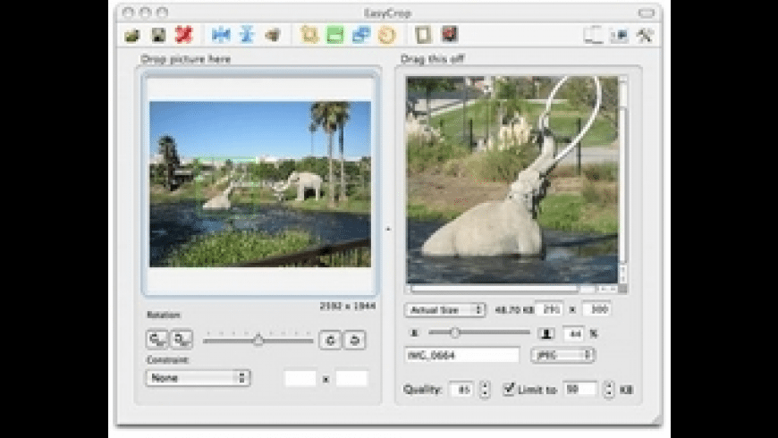 Resume trial Resume trial
