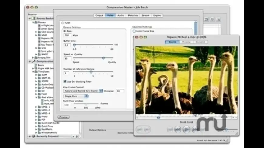 Compressor Compressor