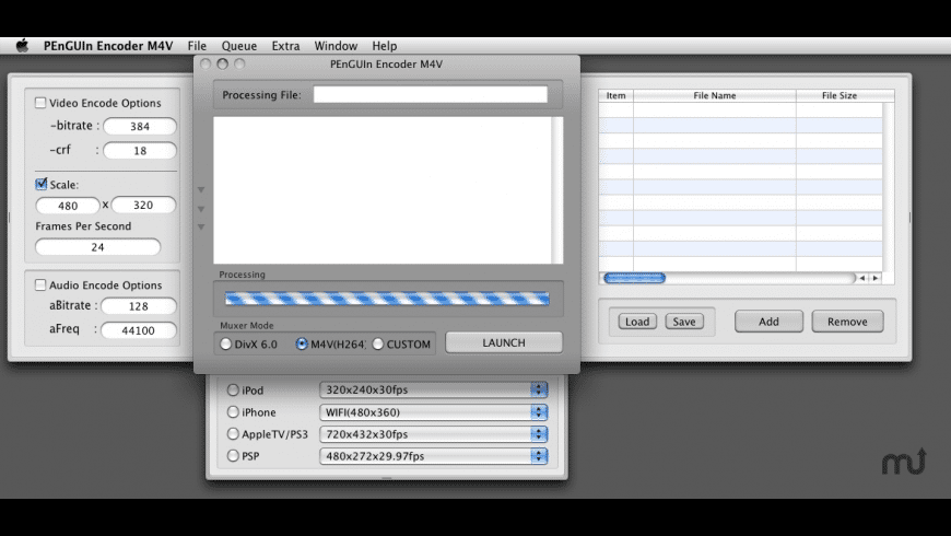 PEnGUIn Encoder M4V for Mac - review, screenshots