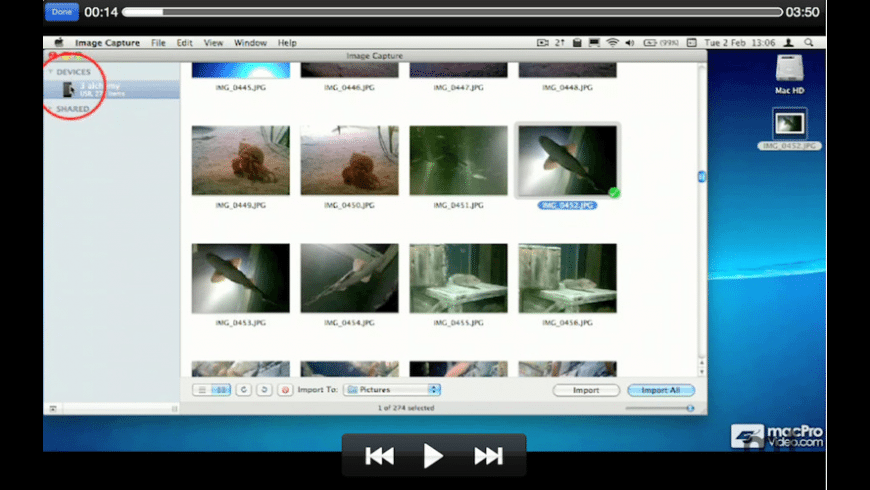 Snow Leopard Online Download Mac Snow Leopard Online Download Mac