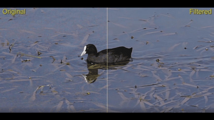 Neat Video Download Mac Free