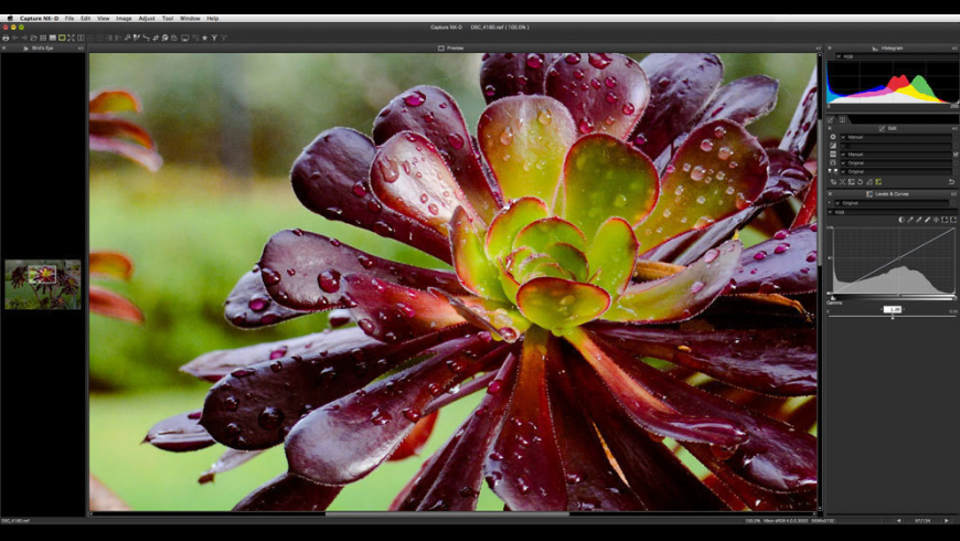 Capture Nx2 Mac Download Capture Nx2 Mac Download
