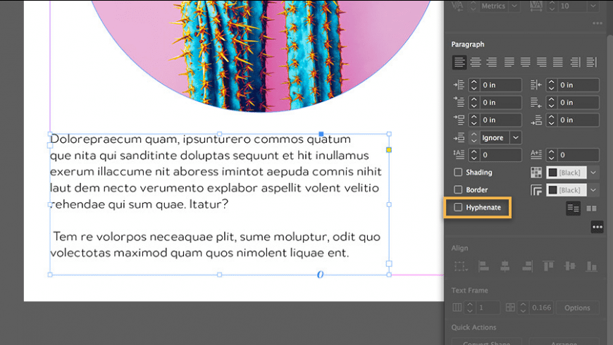 Adobe Adobe