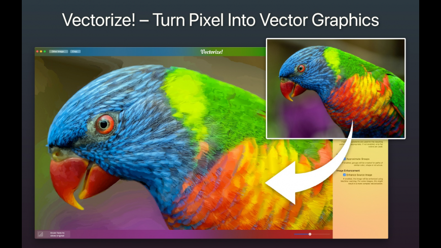 Make Pictures Vector How To Turn A Picture Into A Vector