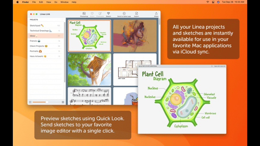 Linea Link for Mac - review, screenshots